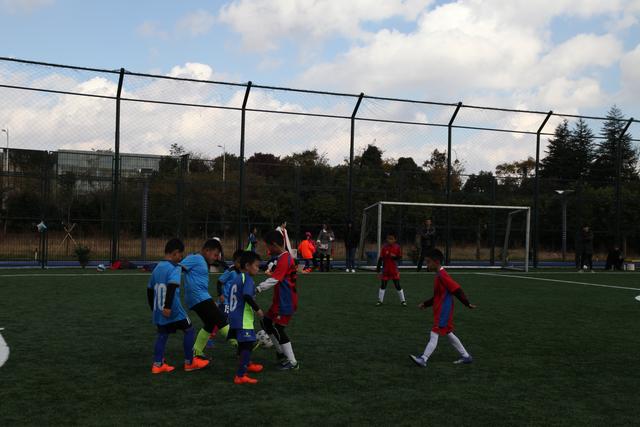 小赖因德斯：为印尼效力是种骄傲